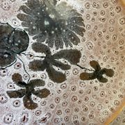 Set of 5 MBFA Pornic 70's dessert plates