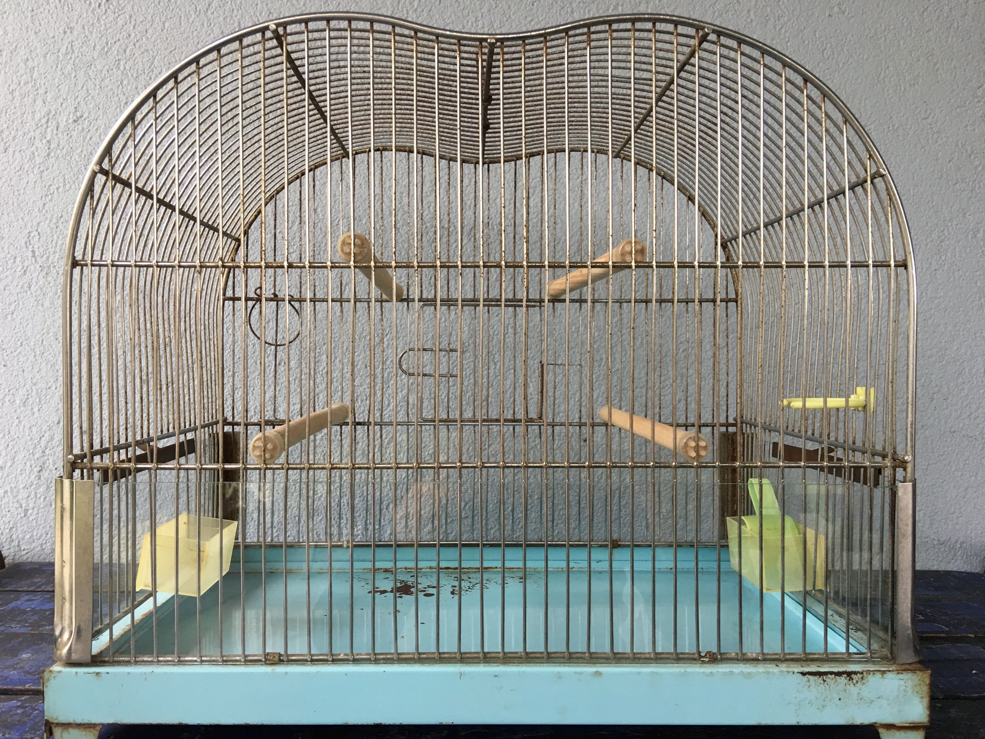 Vintage birdcage