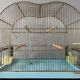 Vintage birdcage