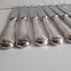 Ercuis set of 18 knives silver metal and stainless steel violin model