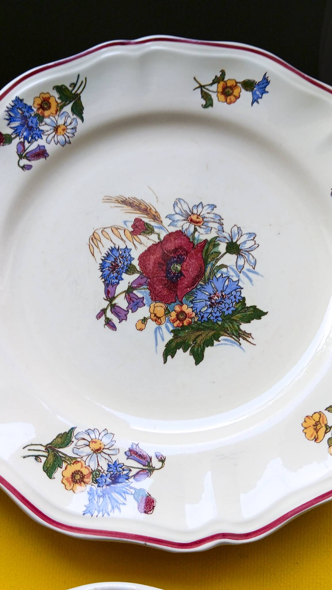4 Digoin Sarreguemines “Agreste” flower pattern dinner plates