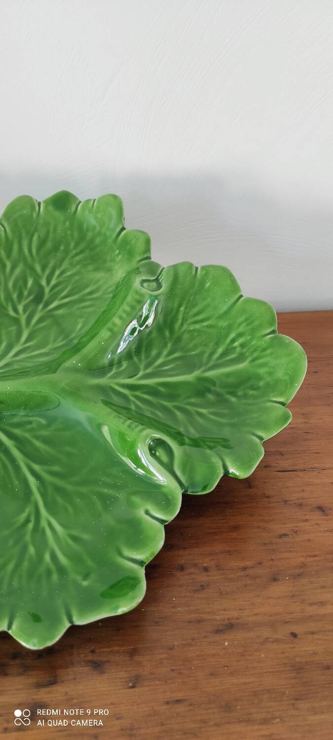 Barbotine appetizer dish