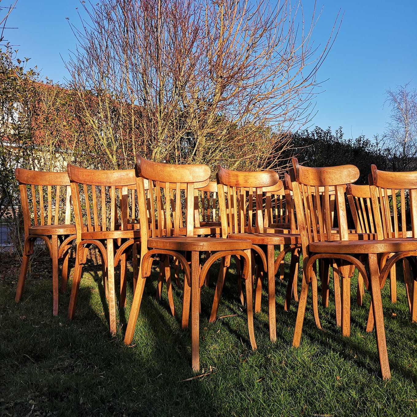 Set of 8 chairs Bistro Baumann