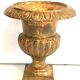 Medici Pot