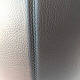 Leolux armchair model Caruzzo