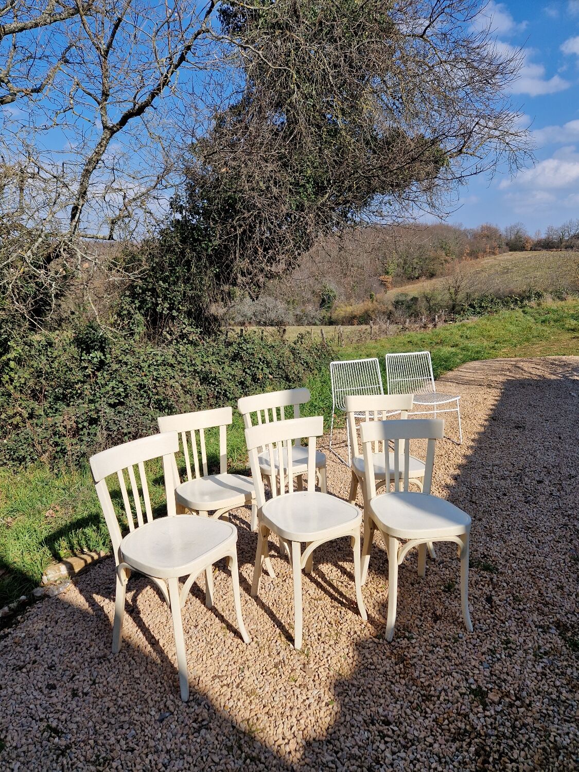 Bistro chairs x6