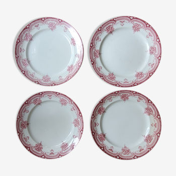 4 assiettes plates Narcisses