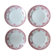 4 flat plates Narcissus