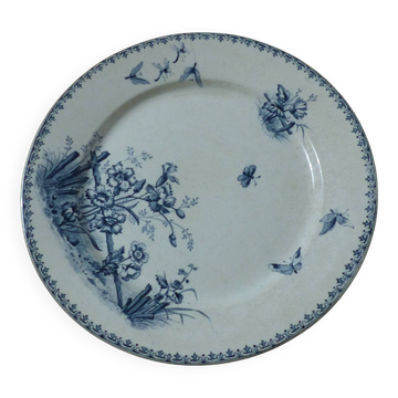 plate