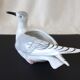 German Porcelain Seagull, 1930s Pocket Tray, Very Good Condition.