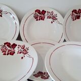 Hollow plates saint Amandoise