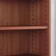 Mid-century library