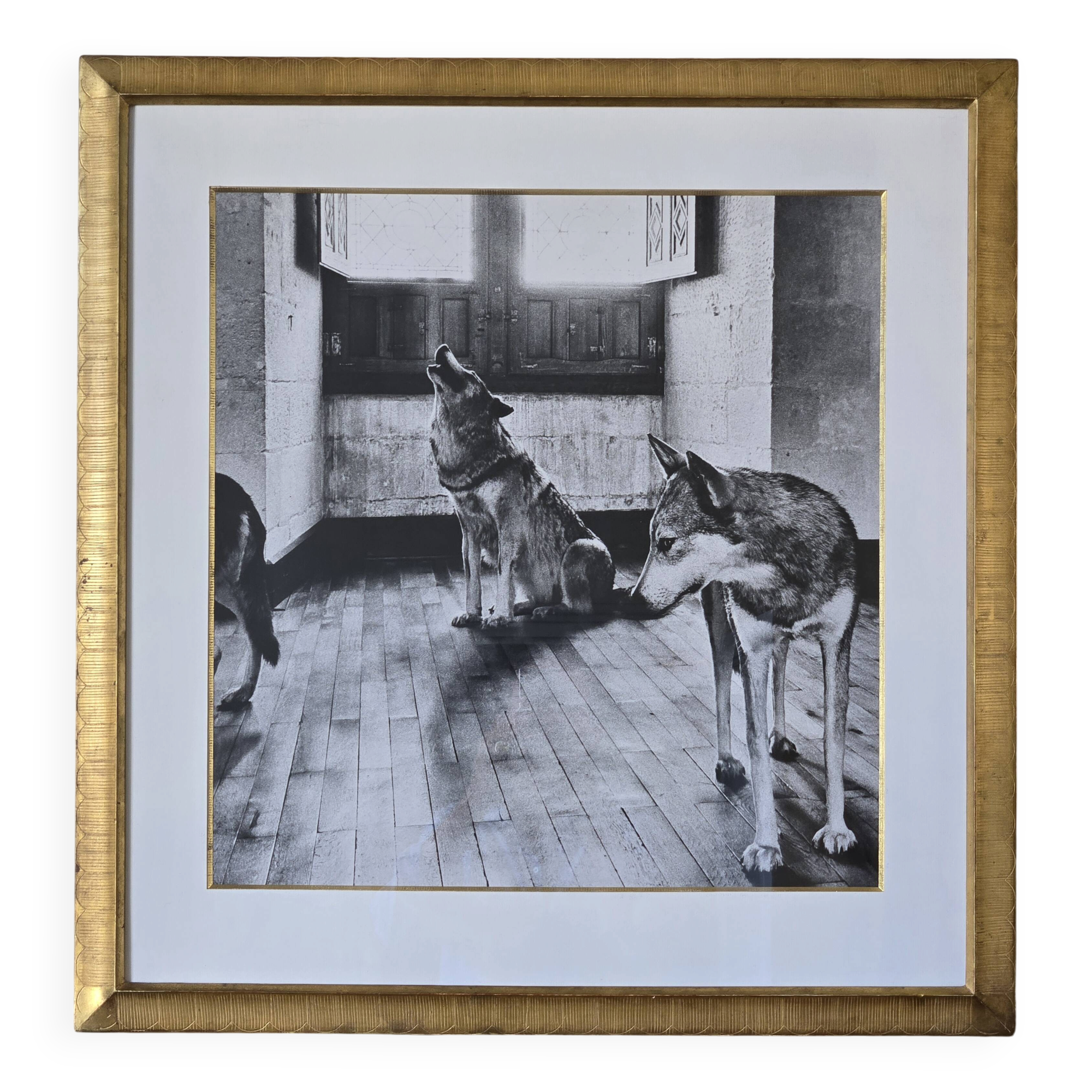 original vintage silver print "wolves"