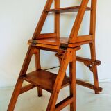 Chaise escabeau de bibliotheque