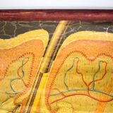 Poster graphic skin hair Deutsches Hygiene Institute 1951