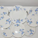 Set of 11 plates dessert and 1 dish of the pottery of onnaing