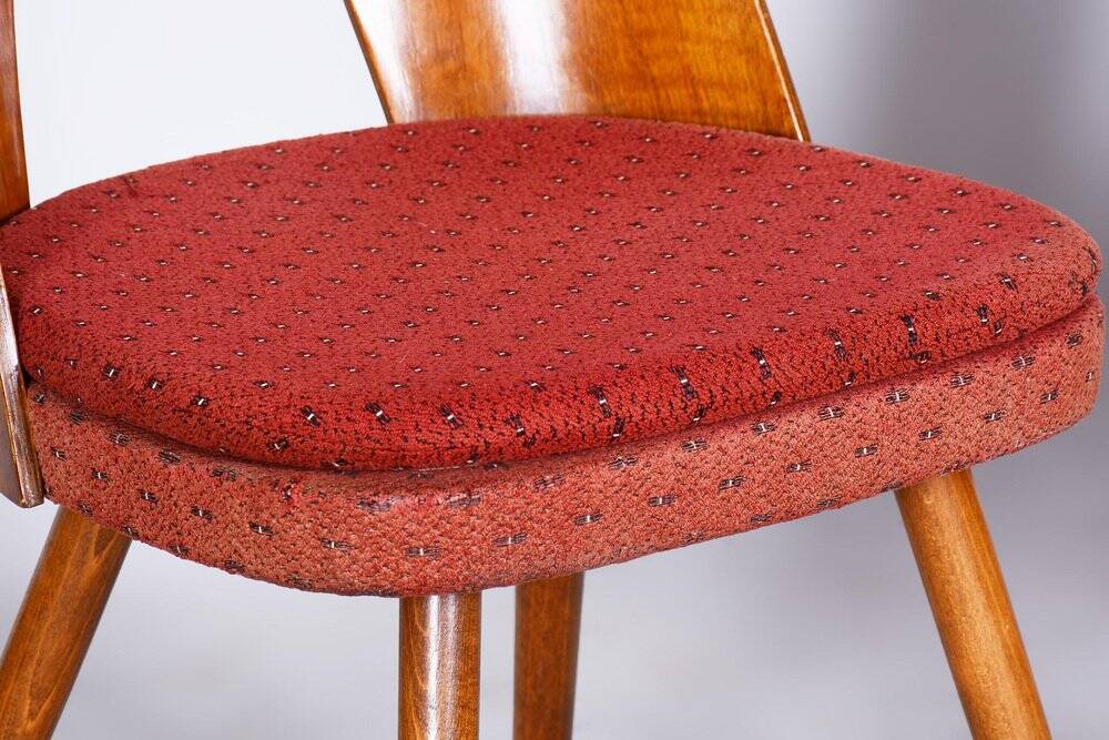 Set of Mid-Century Czech Chairs by Antonin Suman, 1950s