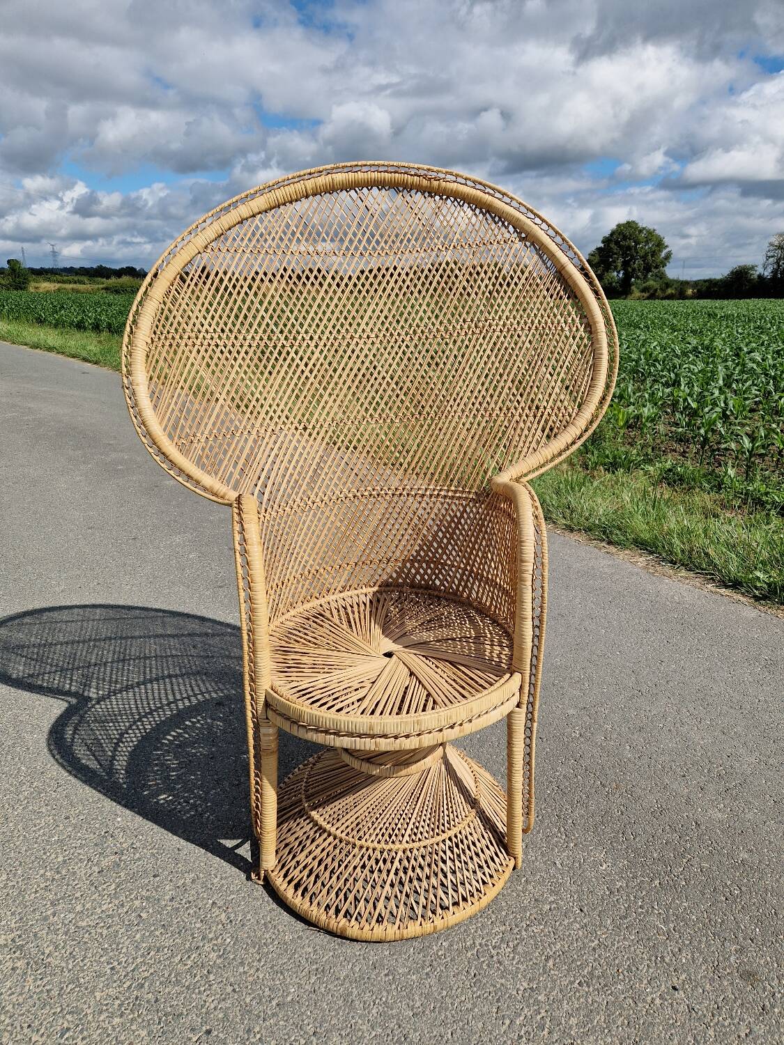 Emmanuelle adult armchair