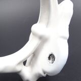 Old white enamelled metal patère