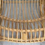 Rocking flesh in rattan