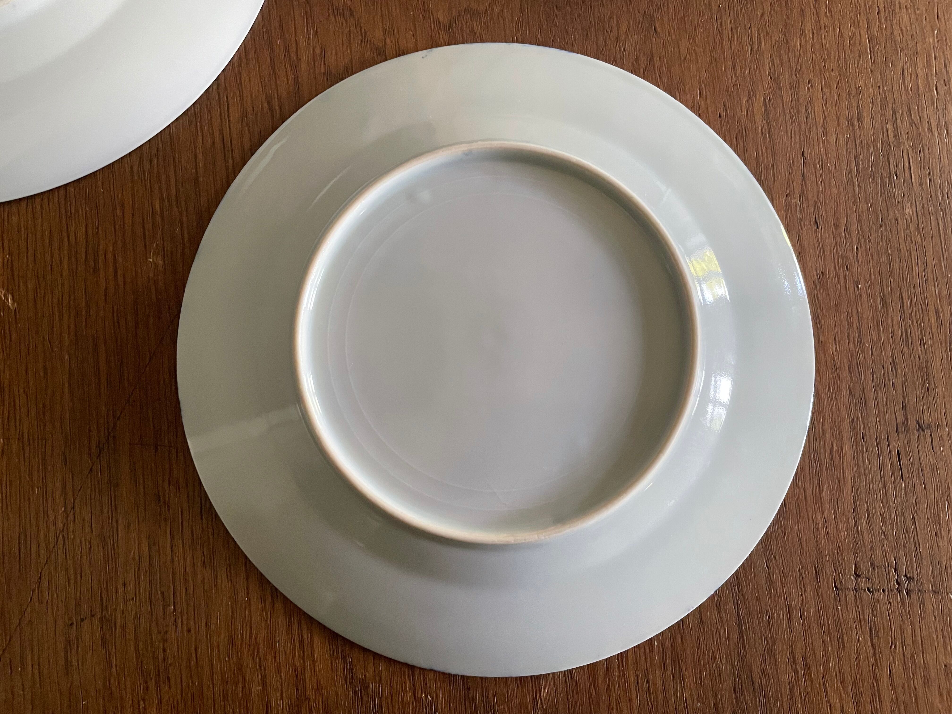 Asian porcelain plates decorated with blue dragons