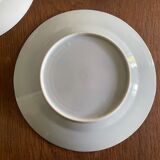 Asian porcelain plates decorated with blue dragons