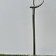 Silver-plated bronze lamp by Pierre Casenove for Fondica