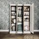 Armoire parisienne 3 portes upcyclée