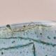 Square dish salad bowl bowl keraluc quimper ceramic turquoise blue cracked effect stamped with u