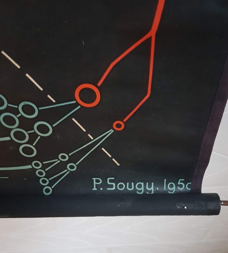 Vintage school poster by Paul Sougy - Selaginella, 1959