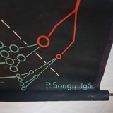 Vintage school poster by Paul Sougy - Selaginella, 1959