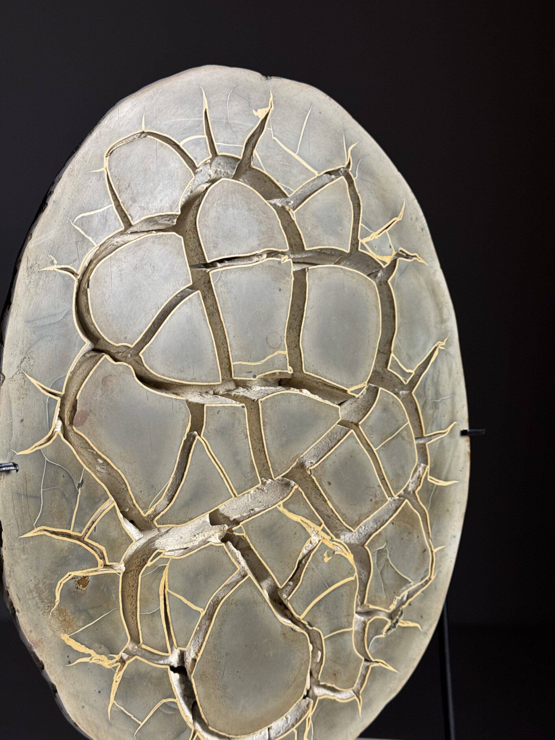 Septarian nodule on stand