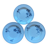 Deep plates Sarreguemines with carnation bouquets