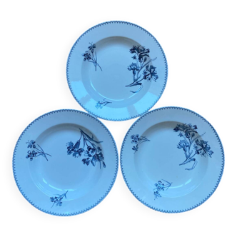 Deep plates Sarreguemines with carnation bouquets