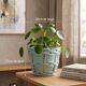 Saint-Clément cache-pot planter signed by Blanche Letalle model 4086-000
