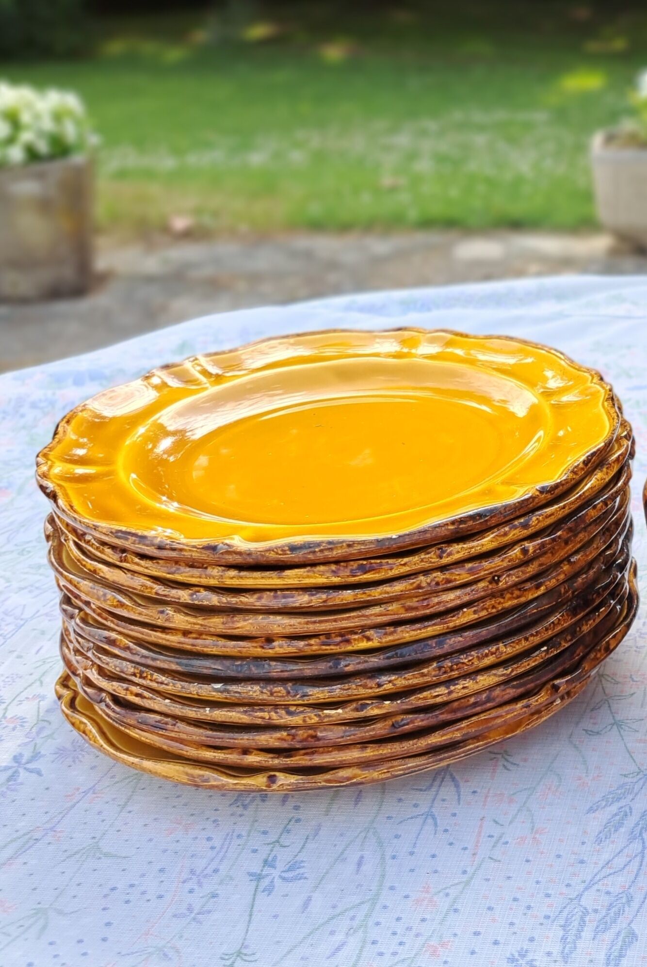 11 assiettes à dessert