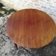Table scandinave a rallonge