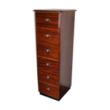 Dutch Industrial Mahogany Apothecary Cabinet, Mid-20th Century