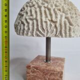 Ancient coral "brain" Diploria labyrinthiformis on base, 19 cm
