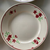 Flat plates Badonviller