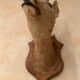 Taxidermy doe head deer deer hunting trophy