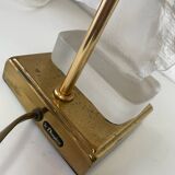 The Dolphin Horse Head Lamp