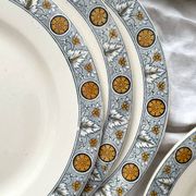 10 assiettes plates en terre de fer « Lamartine » Salins