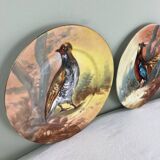 Set of decorative plates