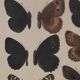 Small brown and orange butterflies, original signed watercolour, Roger METAYE.
