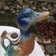 Duck pitcher barbotine St Clément