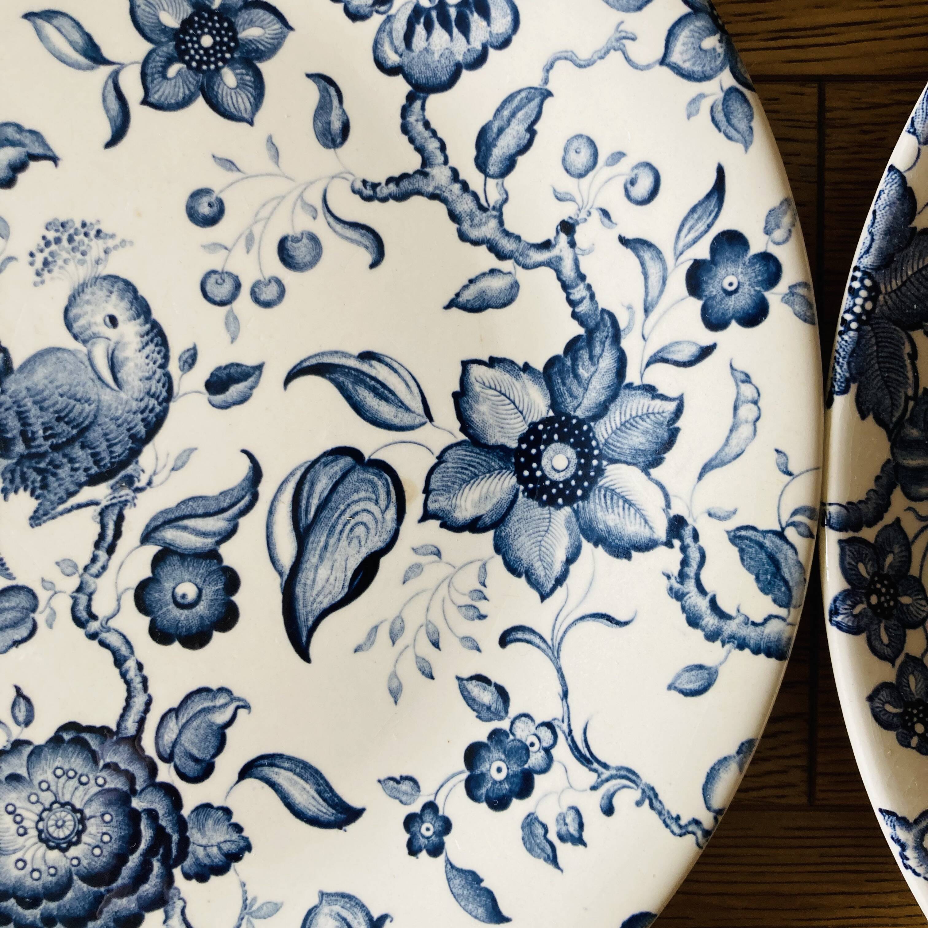 Paradiso 12 dinner plates Villeroy Boch