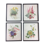 Lot of 4 framed botanical posters