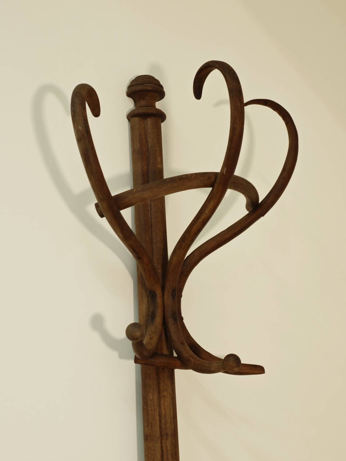 Thonet No. 1 Parrot Coat Rack on Wall, 1900s