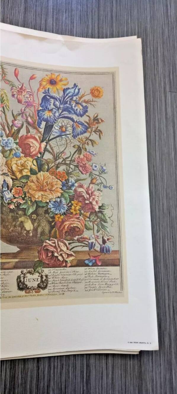 Lot of 19th century Floral Engravings - Vintage Art Print Flowers - 12 months - Robert Furber